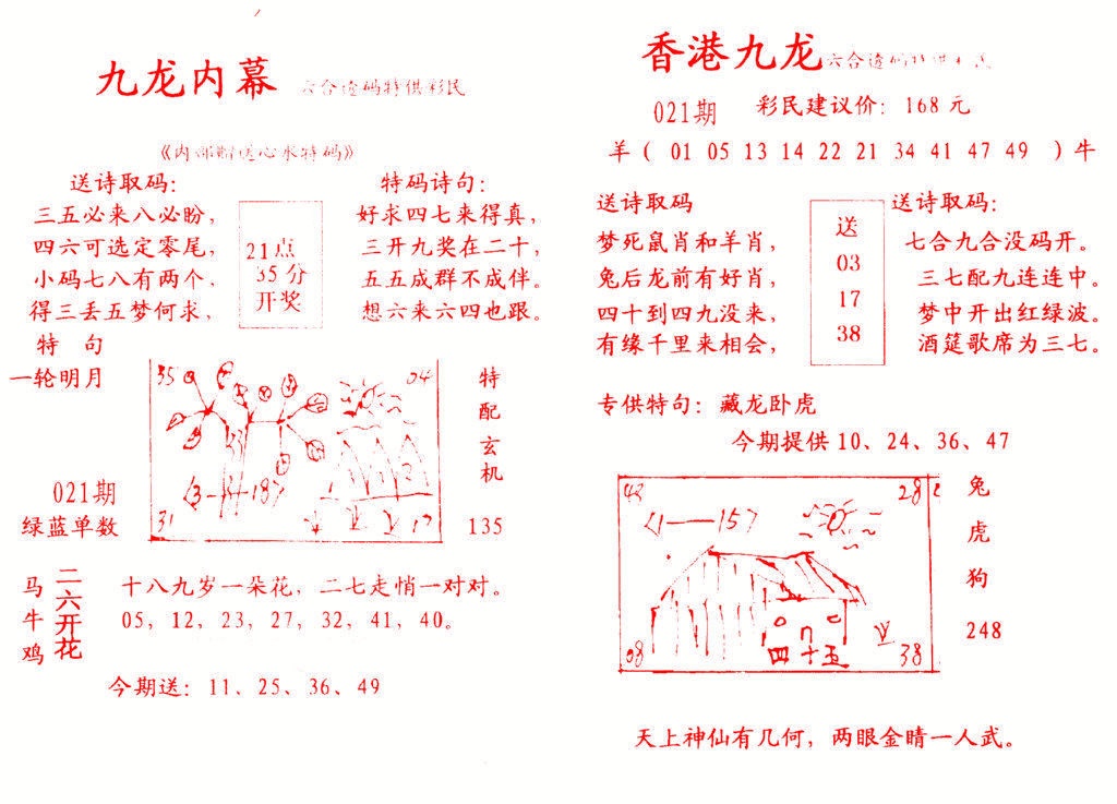 021期九龙内幕[图]