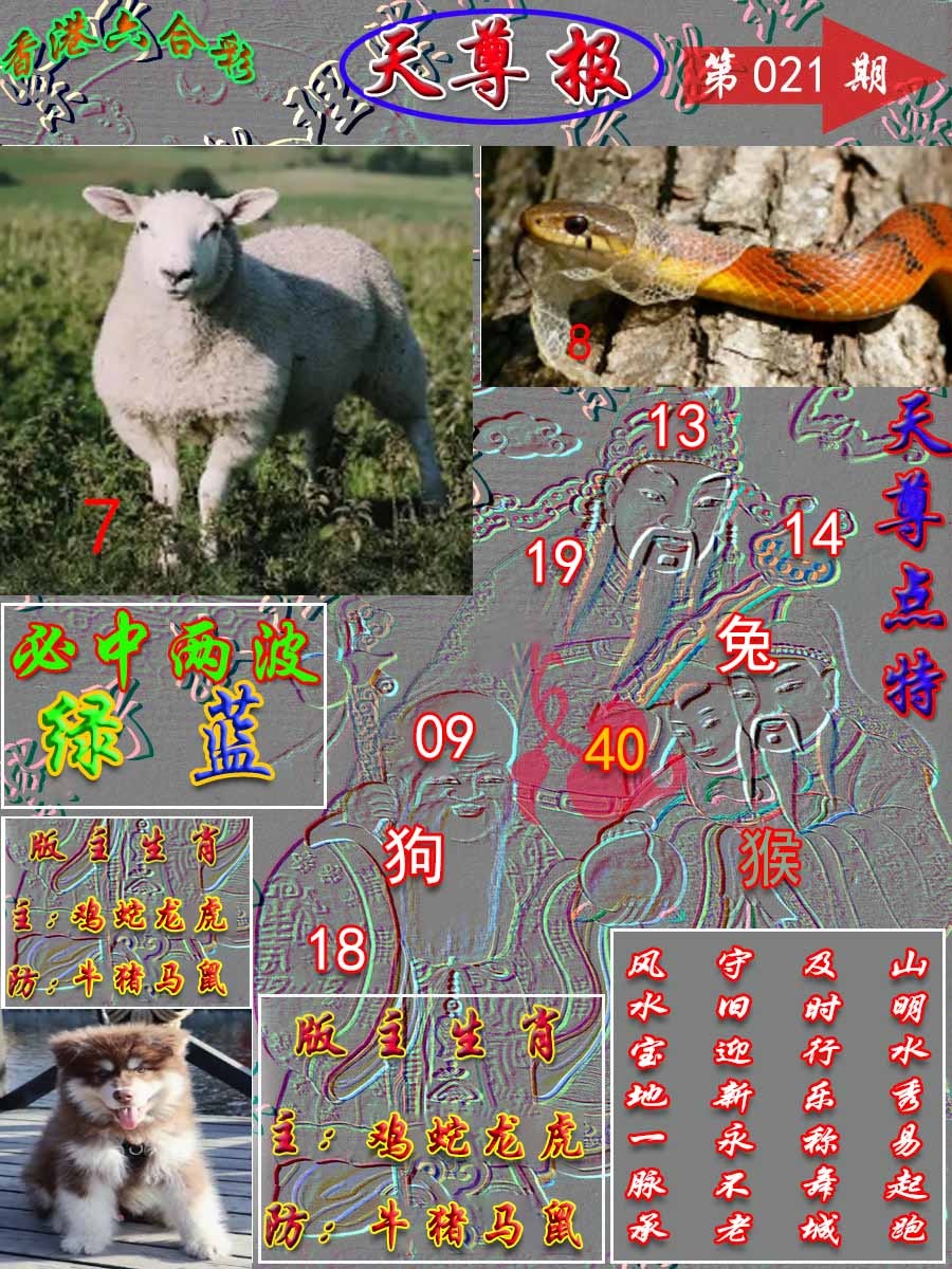 021期天尊报[图]
