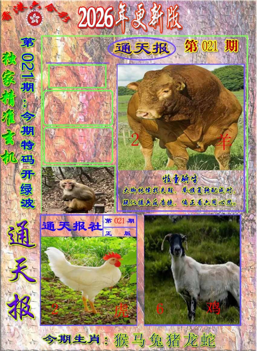 021期新通报[图]