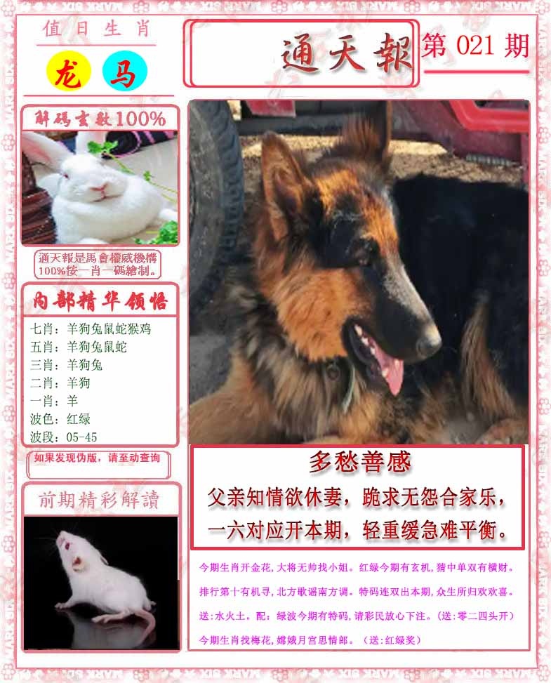 021期马经通天报[图]