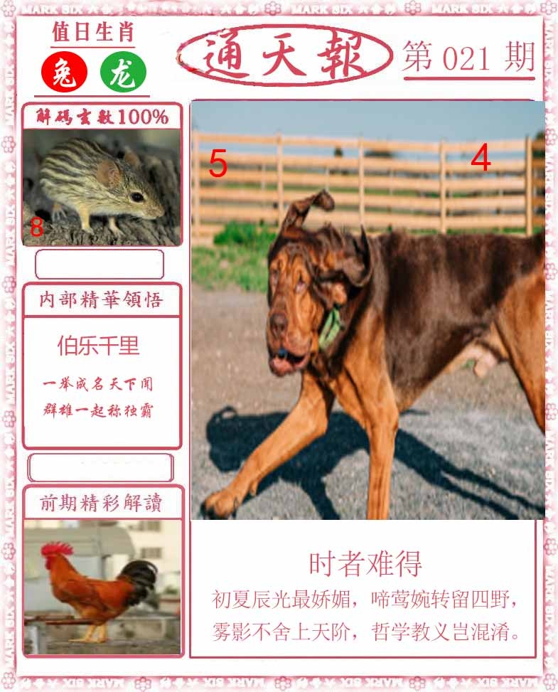 021期正版通天报[图]