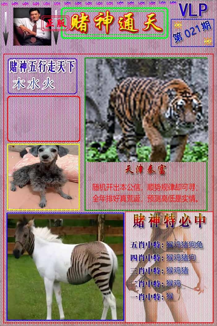 021期赌神通天报[图]