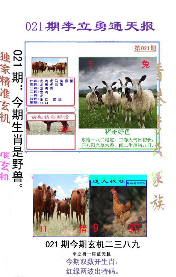 021期李立勇通天报[图]