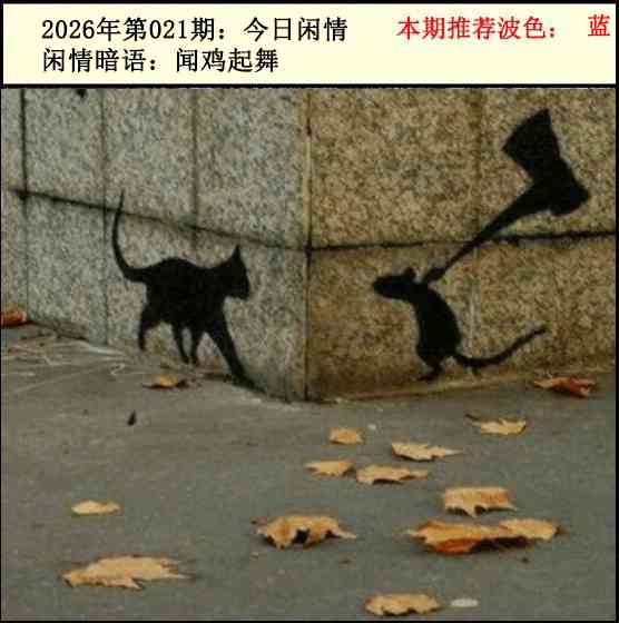 021期今日闲情2[图]
